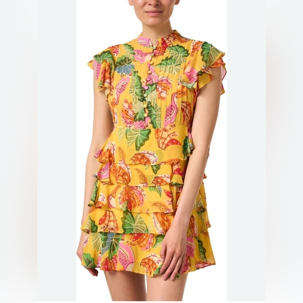 Farm Rio Floral Ruffle Mini Dress
